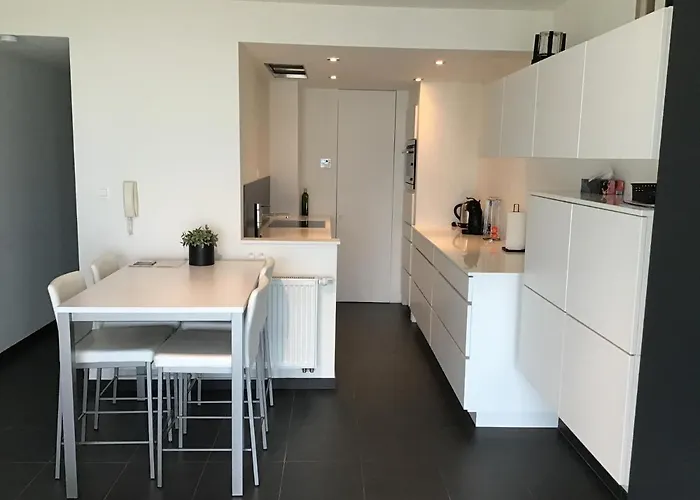 Marjolaine Zeezicht - Nieuwpoort-bad Met Gratis Garagebox Apartament Nieuwpoort