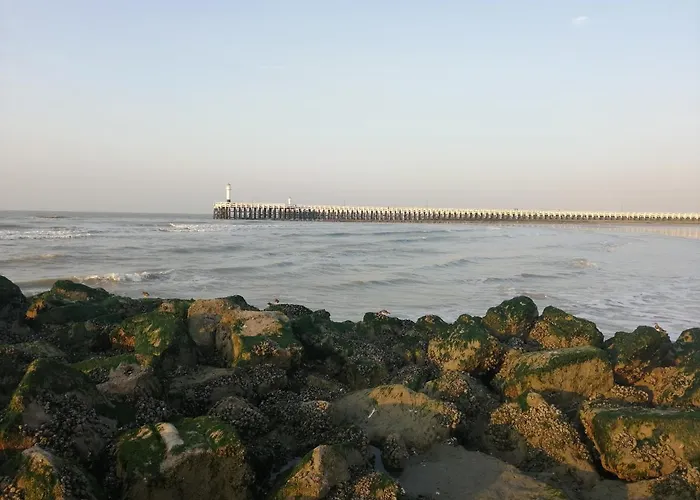 Apartament Marjolaine Zeezicht - Nieuwpoort-bad Met Gratis Garagebox